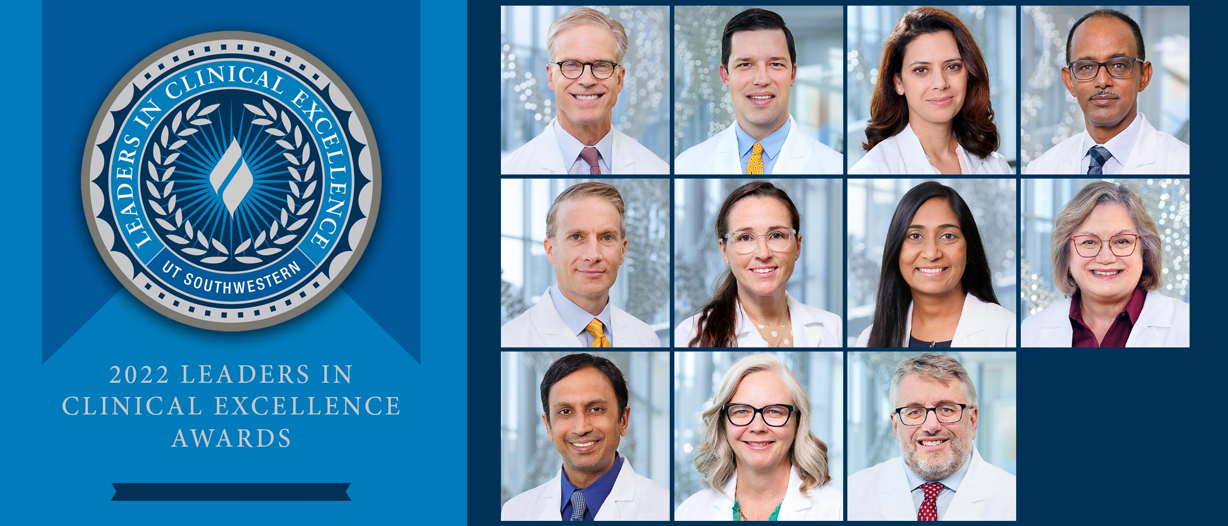 Leaders of Clinical Excellence blue header