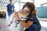 Respiratory Therapist Wendy Selke steals a kiss from Daisy.