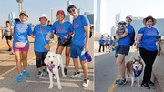 Canine companions joined several UTSW supporters on their walk. Lovable canines always make good partners for the Heart Walk.