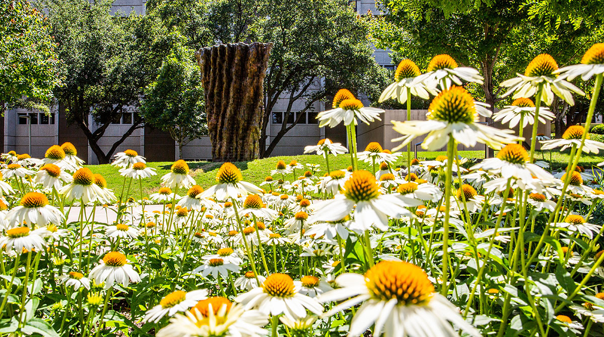 Closeup view of flowers in foreground with sculpture in the distance