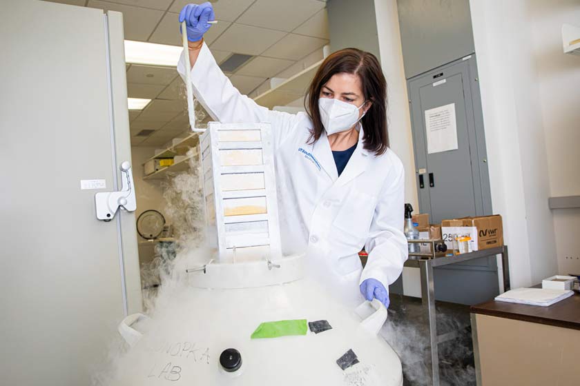Woman in lab coat, mask, pulling stacks out of freezer