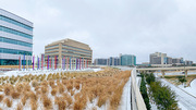 The Forest of light art installation at West Campus Building 3 presents a dramatic and colorful contrast to the snow-covered campus.