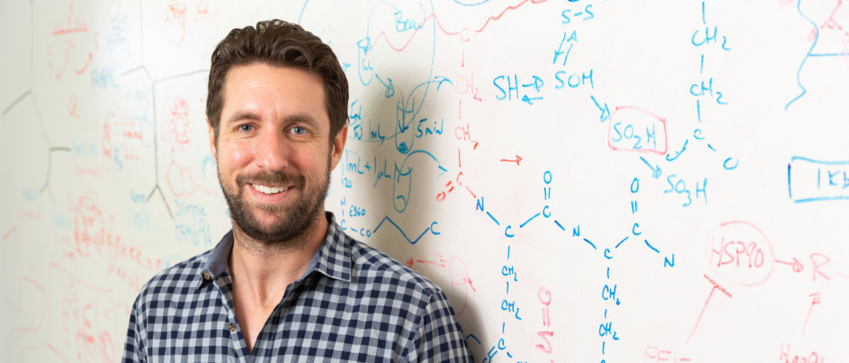 Man in buttoned collared shirt standing in front of whiteboard