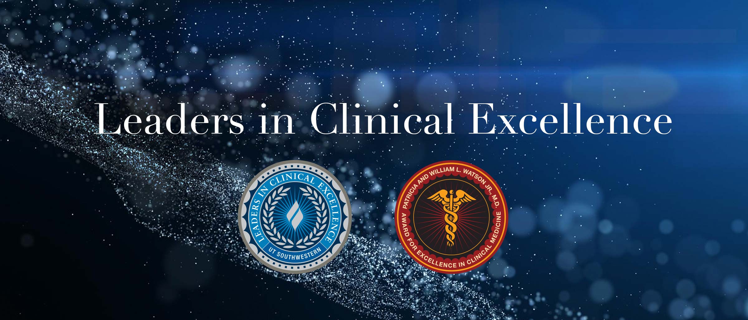 Decorative background with two award seals, and Leaders in Clinical Excellence wording