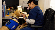 Tia the therapy dog greeted Medical Office Assistant Joy Gooding, who works in the Breast Cancer Clinic at the Cancer Care Outpatient Building.