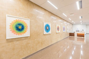 Mary Judge, Pop Flower 69, 70b, 71, 72, and 72b, 2018, powdered pigment on paper, 30 by 30 inches each<br />Location: Third floor Orange atrium