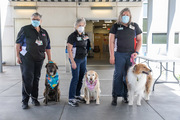 From left: Heart of Texas Therapy Dogs volunteers Rosalind Henwood with dog Rusty, Ruth Peterson with dog Emma, and Sheryll Barker with dog Daisy.