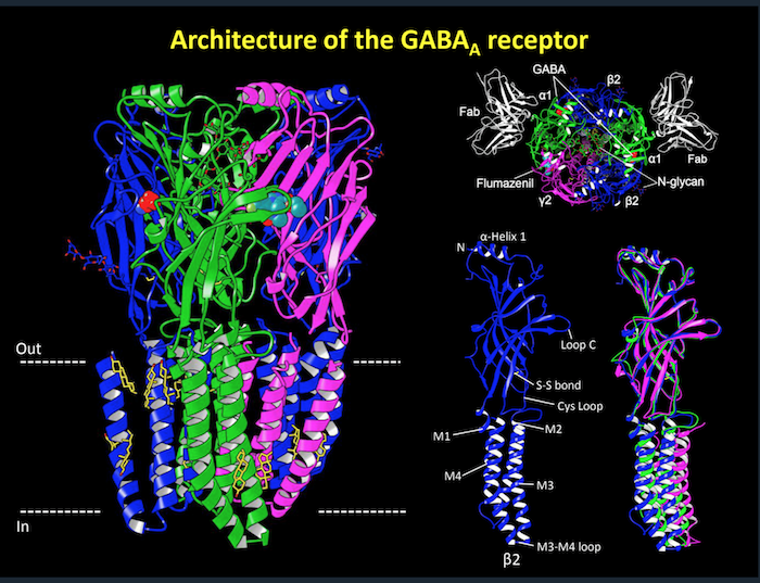 GABA Architecture illustration