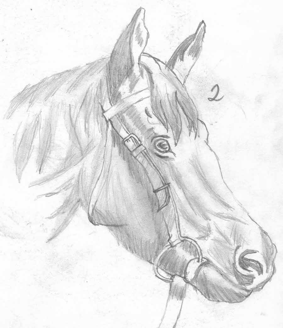 Drawing of a horse
