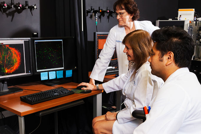 Drs. Katherine Luby-Phelps, Dorothy Mundy, and Tadamoto Isogai view super resolution image.