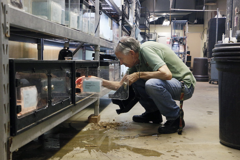 Bob Butsch cleaning cages at the Dallas Zoo