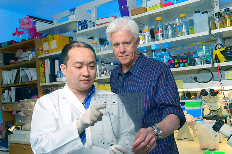 Dr. Olson with teammember in the lab