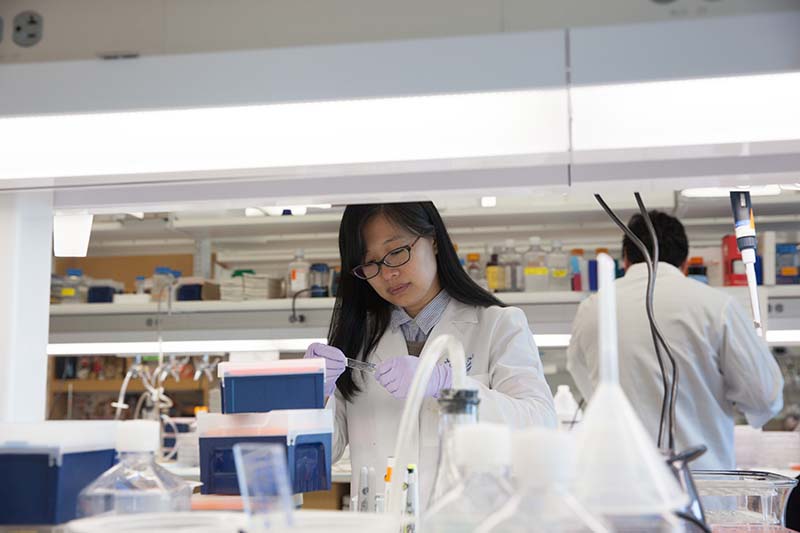 Dr. Le’s lab at UT Southwestern launched in 2009. Dr. Le’s lab
