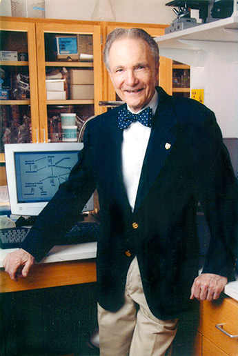 Man wearing navy blazer and blue bow tie