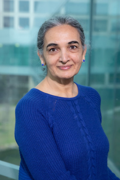 Woman with grey hair, wearing blue blouse