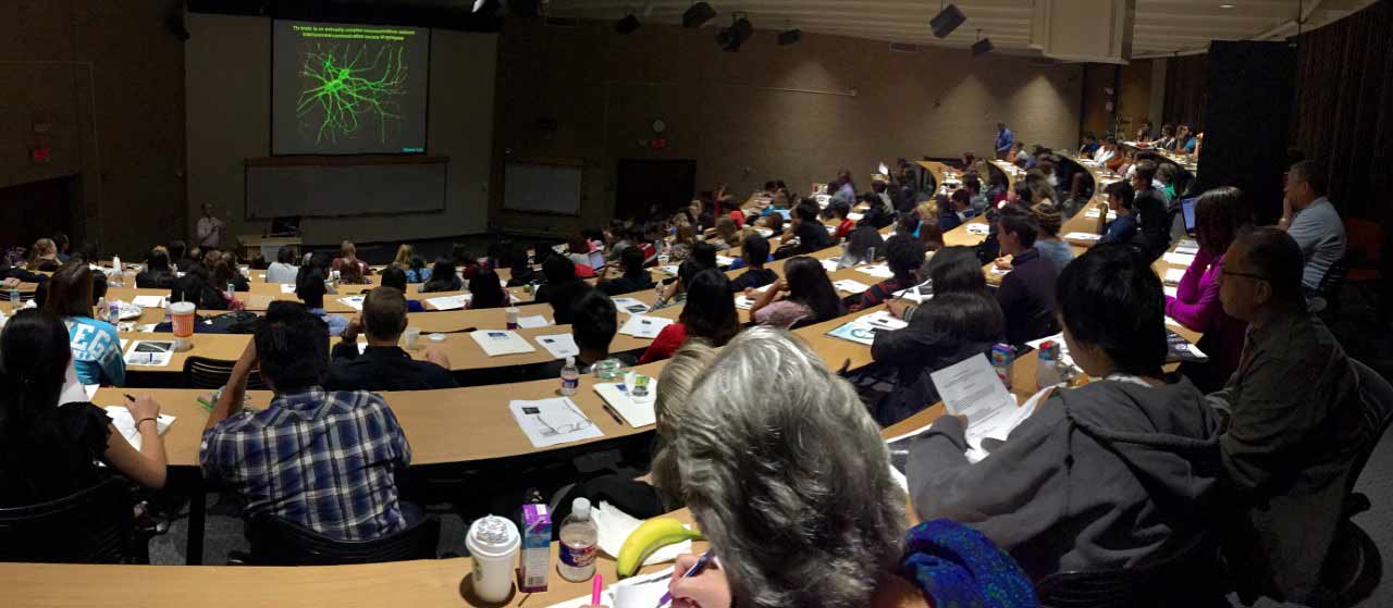 Auditorium of people sitting and watching presentation