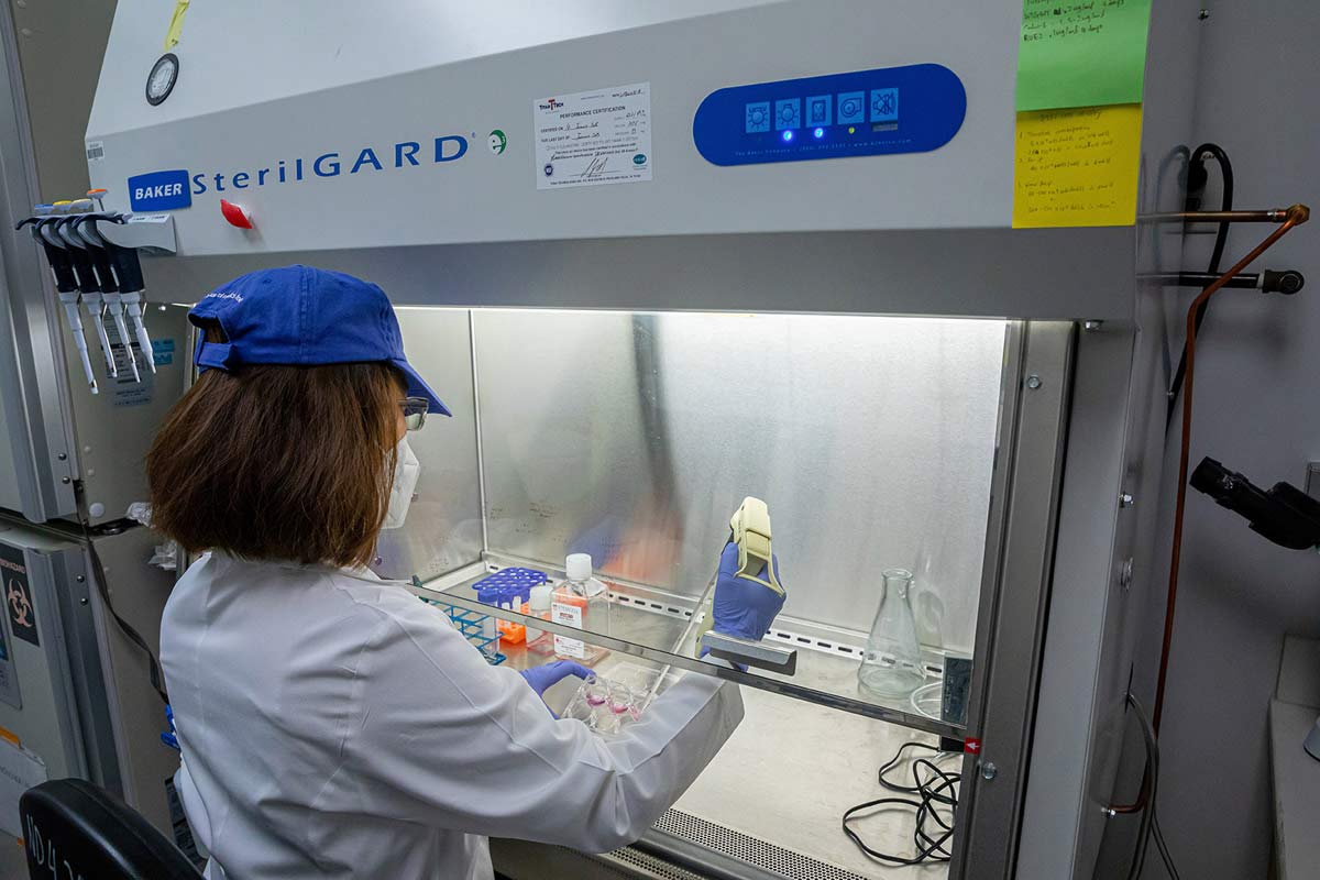 Woman in blue hat, lab coat working in vent hood