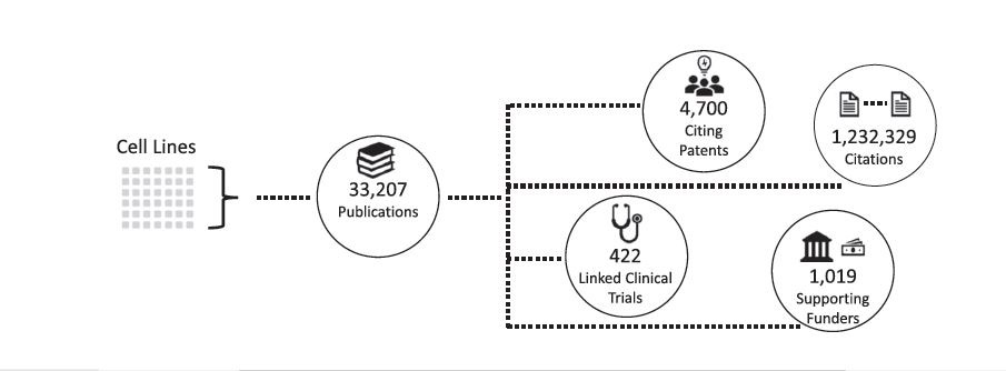 Graphic with cell lines dots, to 33,207 publications, splitting off further