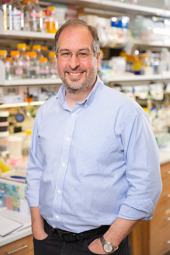 Man with striped shirt, jeans, glasses standing in a lab