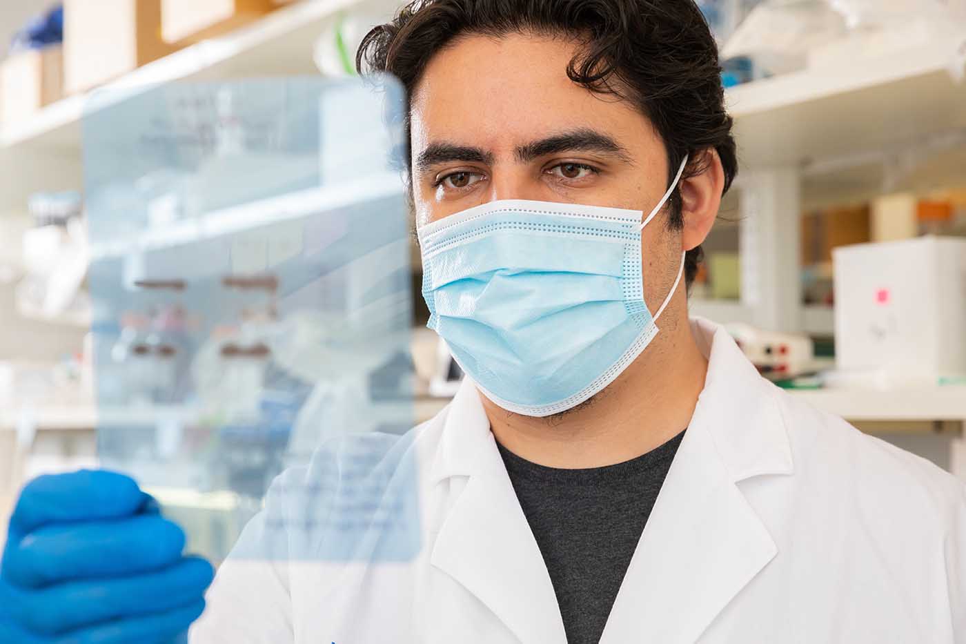 Man in lab coat and mask looks at translucent sheet