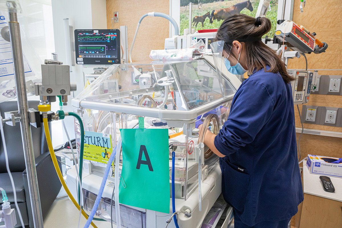 Woman in blue scrubs in hospital room looking in large plastic bed