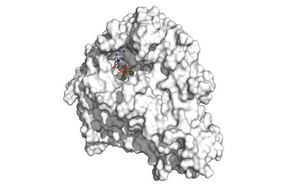 white molecule with bumps