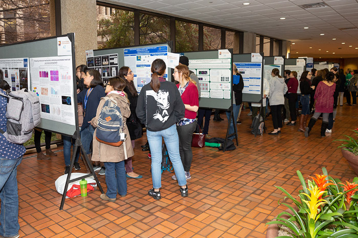A row of poster presentations with people mingling among them