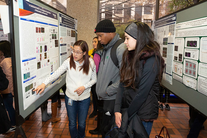 Woman pointing at poster presentation and talking to two people