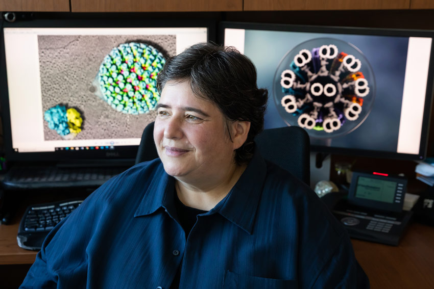 Woman in blue shirt in front of two computer screens