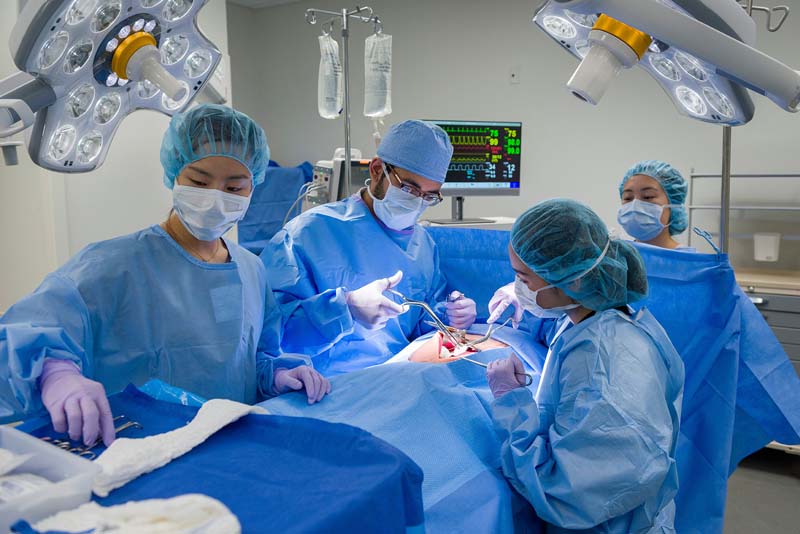 Four people in surgical PPE performing surgery on dummy