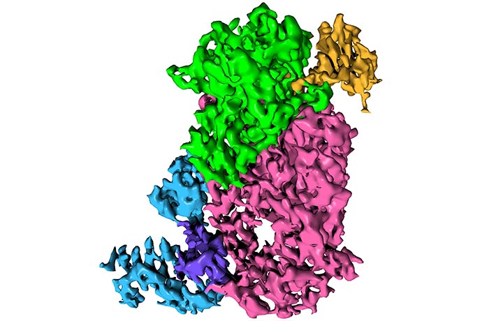 blue-green-pink-purple-yellow-molecules