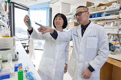 Two scientists in a lab review a chart together.