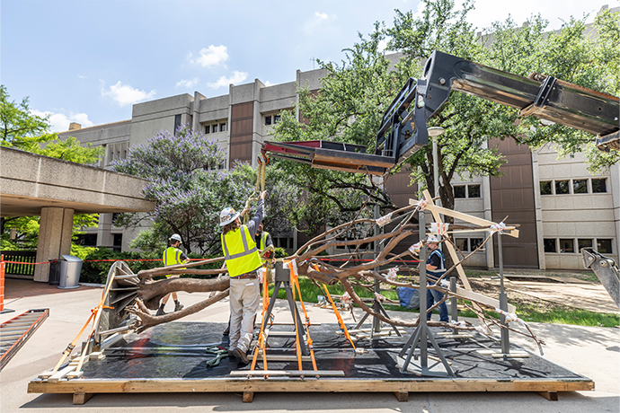 Workmen removing pieces of a tree-like sculpture from a palatte.