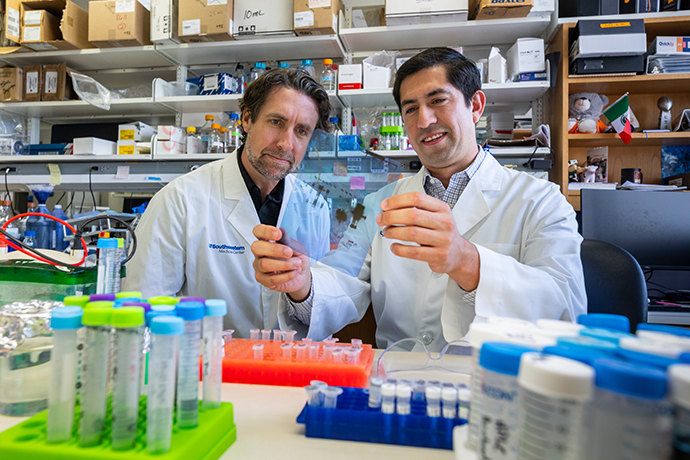 Two scientists examine samples in a lab.