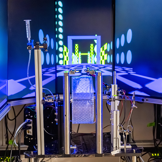 closeup of virtual reality corridors that the Losonczy Lab uses to study spatial learning