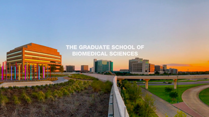 Sunset photo of UTSW campus