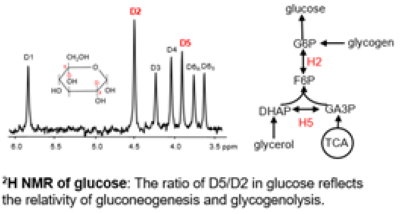 AIRC assessment of pentose phosphate pathway chart