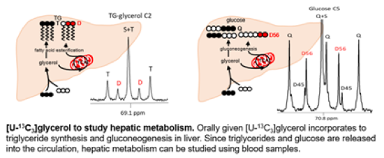 AIRC chart showing method of exploring liver metabolism