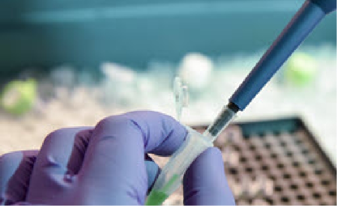 Hands with gloves, holding medical tube, filling it up with liquid in the lab