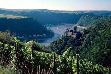 Looking down on the Rhine River gorge from a castle in Germany
