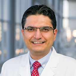 Dr. Sina Rahmani