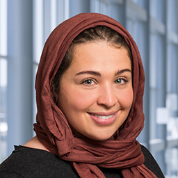 Dr. Camli Al-Sadek