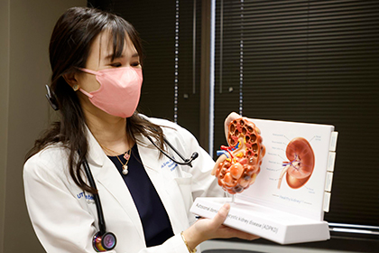 physician holding a model of a diseases kidney