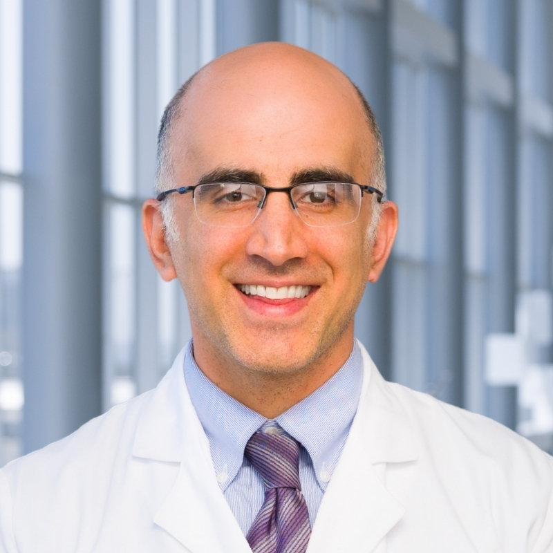 faculty portrait of Dr. Sasan Mirfakhraee
