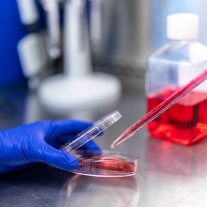 a pipette dropping liquid into a dish