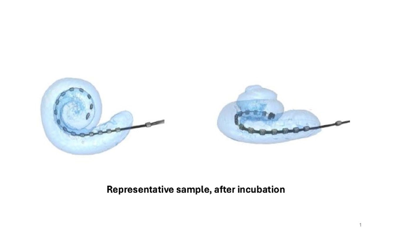 3D reconstruction of Micro CT showing the position of electrodes in the array