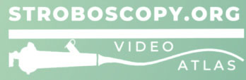 Stroboscopy.org Video Atlas Logo