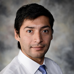 Dr. Luis Sifuentes-Dominguez