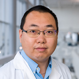 Qing Zou, Ph.D.