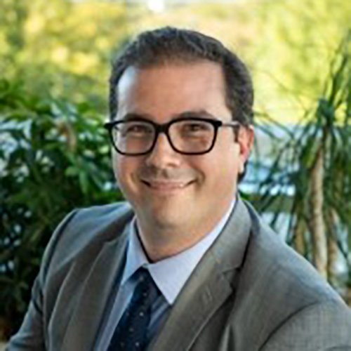 Dr. Odobescu, a smiling man with dark wavy hair, wearing glasses and a brown suit.